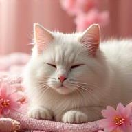 フワフワの猫が桜飾りの付いたスパで寛いでいる様子